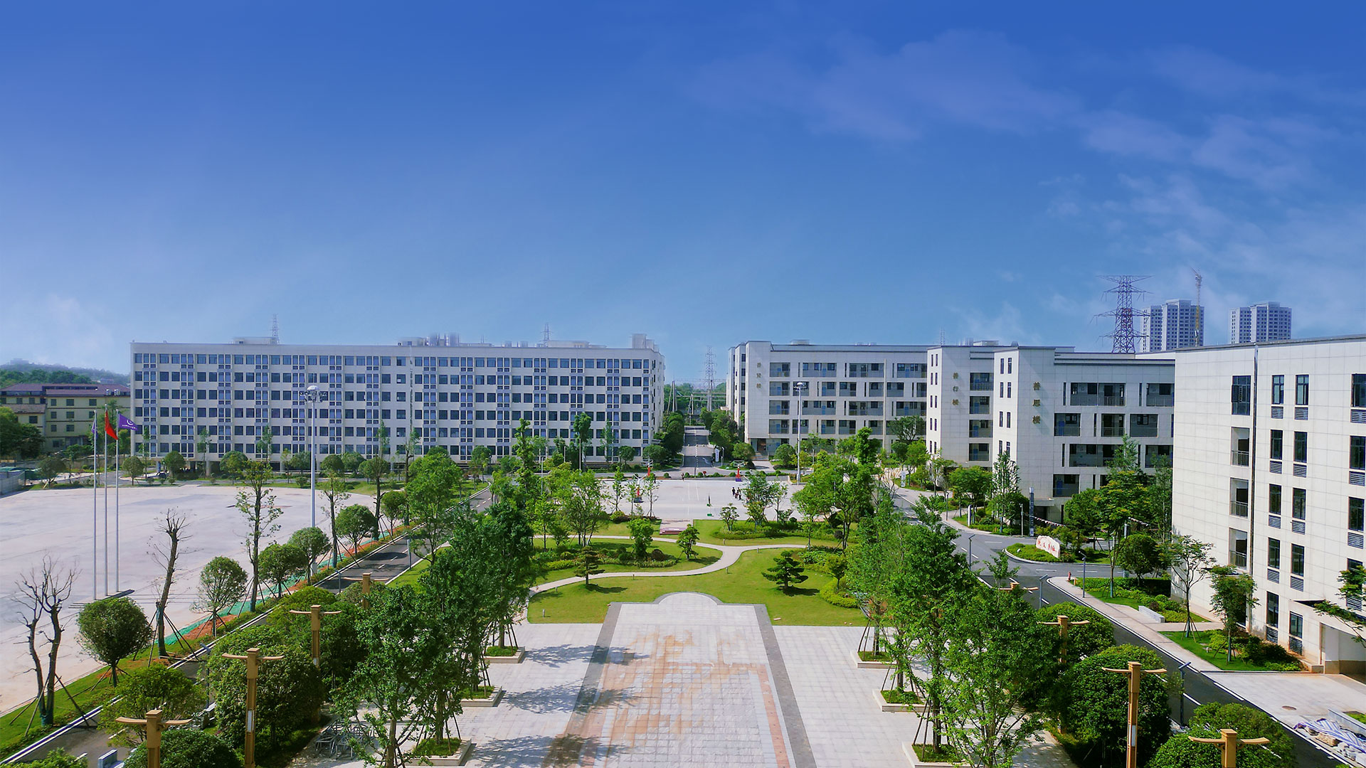 师资力量